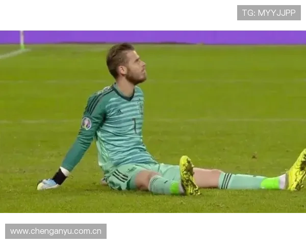 埃贝尔表示格纳布里内收肌伤势轻微预计很快能恢复参赛